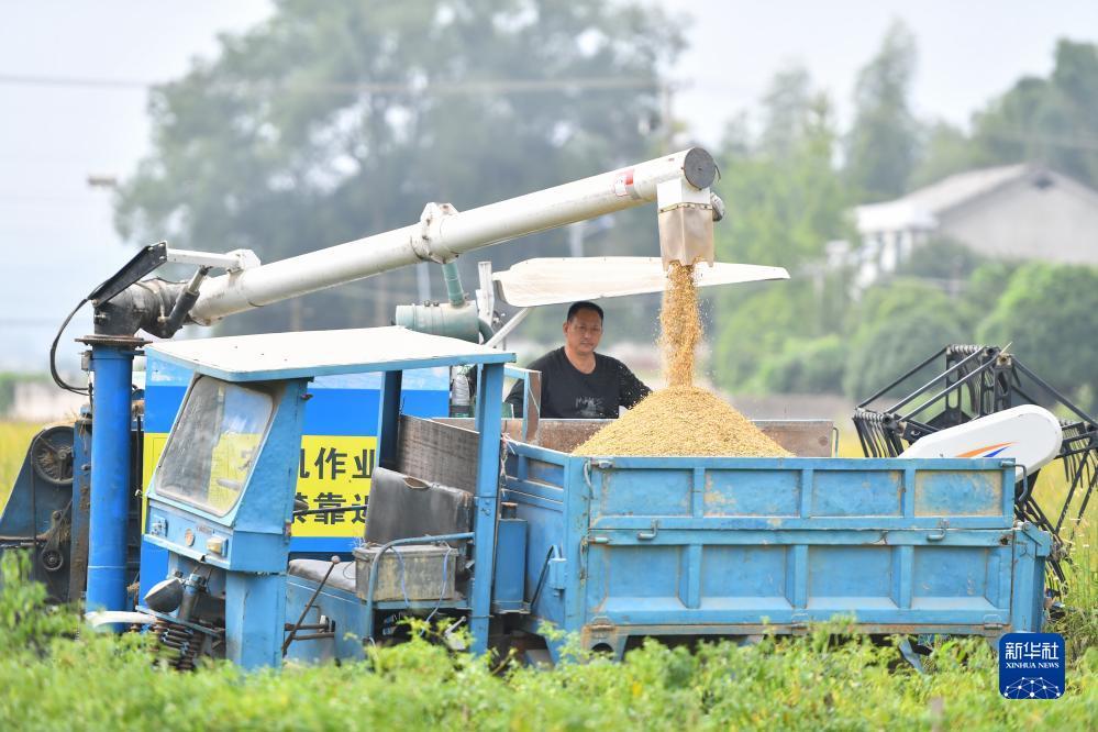 宝运莱游戏官网